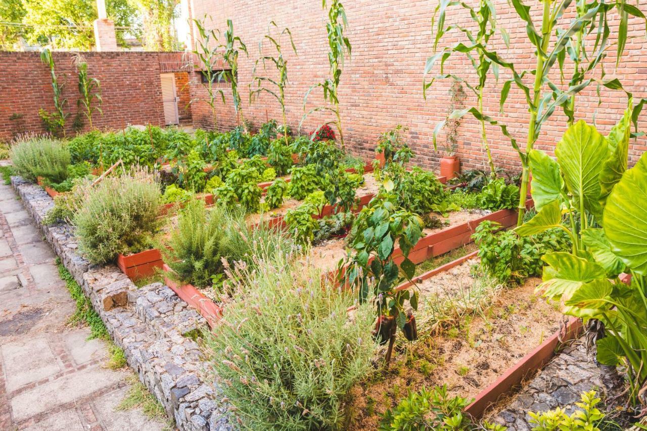 El Mirador Hotel & Spa Colonia del Sacramento Ngoại thất bức ảnh